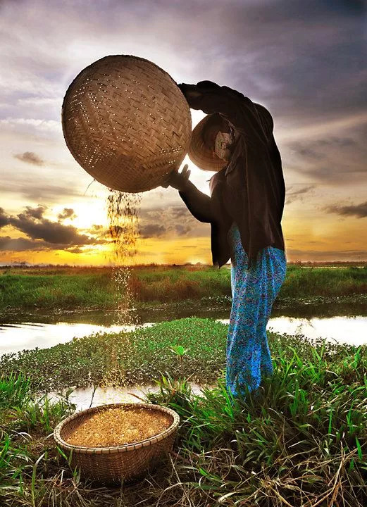 GT Nexus将为惠普提供全球供应链可见性和物流控制云端平