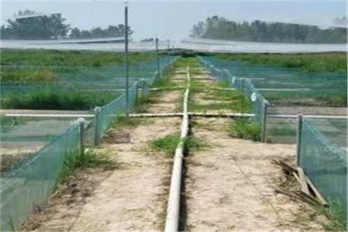 优臣品牌怎么样?_十大足球赌注软件(图4) 十大足球赌注软件排行榜