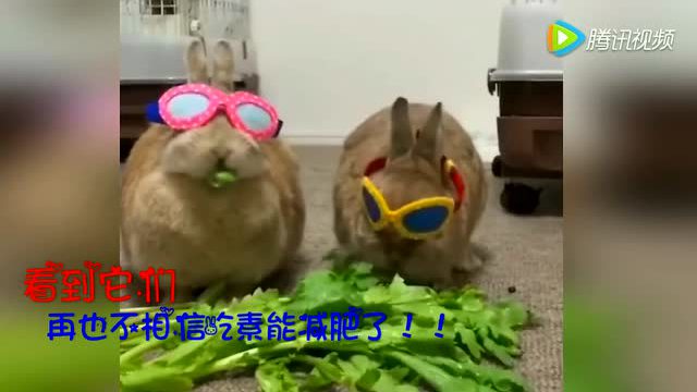 十大足球赌注软件_儿童健康成长必须摄取的四大营养素(图4) 足球赌注软件APP