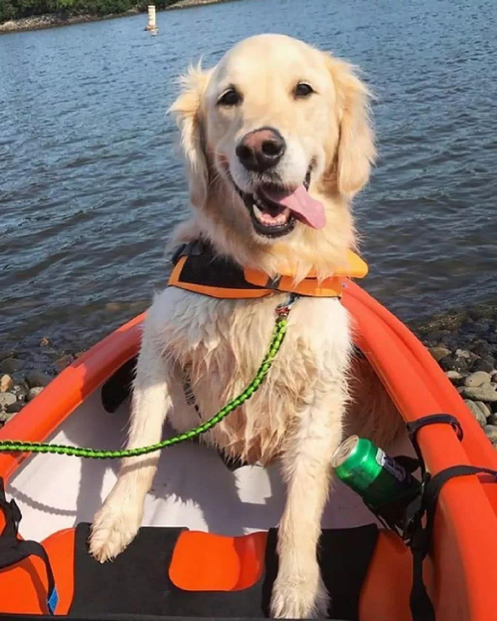 足球赌注软件APP-
2020年度中国十大修建设计院评选效果