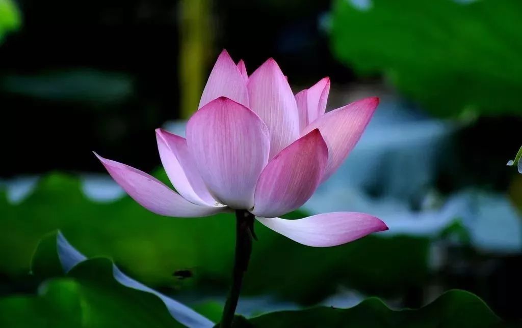 5种保健方法,让中年男性也能永葆”青春“|十大足球赌注软件排行榜(图3) 足球赌注软件