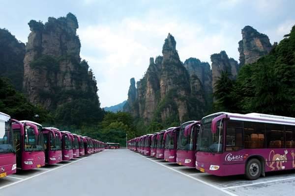 1元拜名师，史上第一次：十大足球赌注软件排行榜