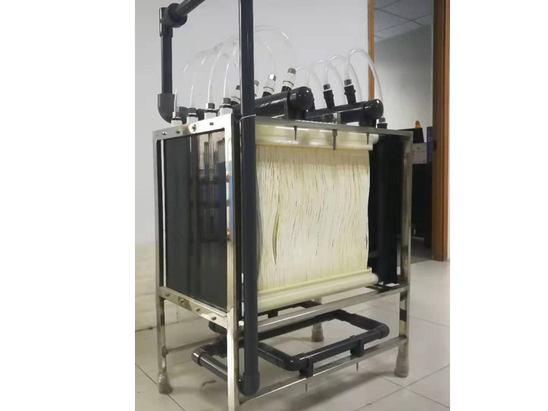 足球赌注软件APP