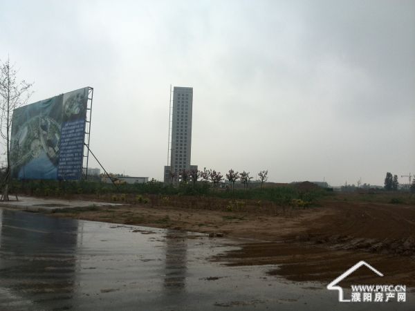 与免疫力相关的重要元素-足球赌注软件APP