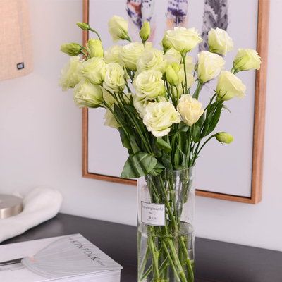 十大足球赌注软件排行榜_灰指甲项目加盟 馨靓甲让您少走弯路