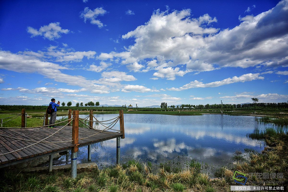【十大足球赌注软件排行榜】国家级林业有害生物中心测报点调整