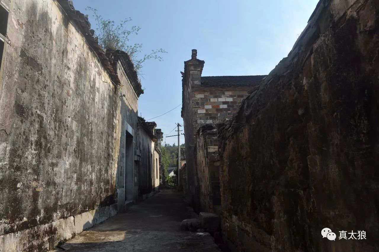 足球赌注软件APP