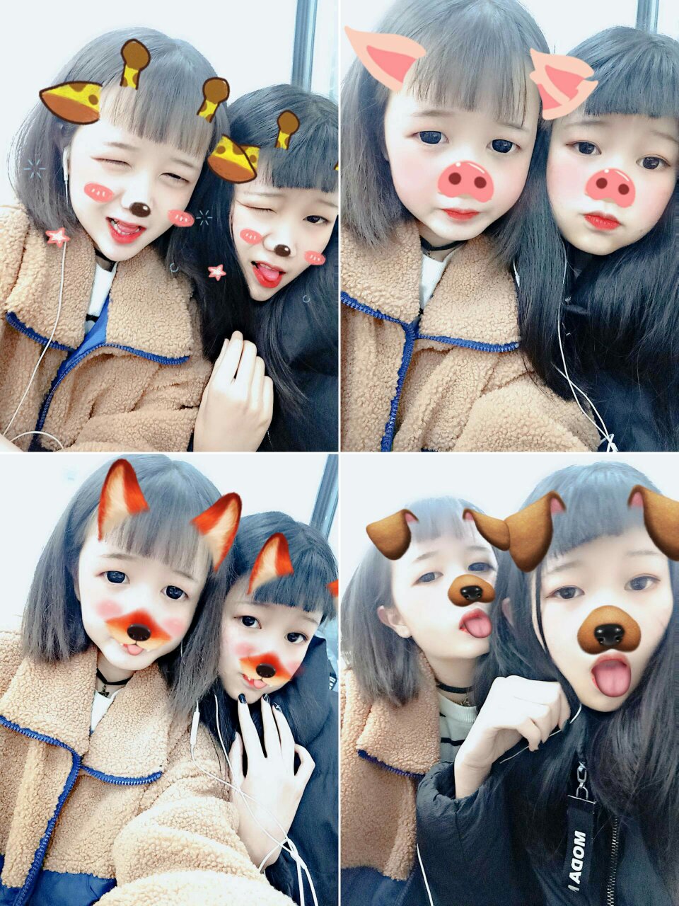 足球赌注软件APP