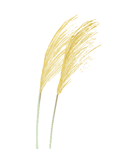 
首创区域新媒体 流传香坊好声音（三）“十大足球赌注软件排行榜”(图15)