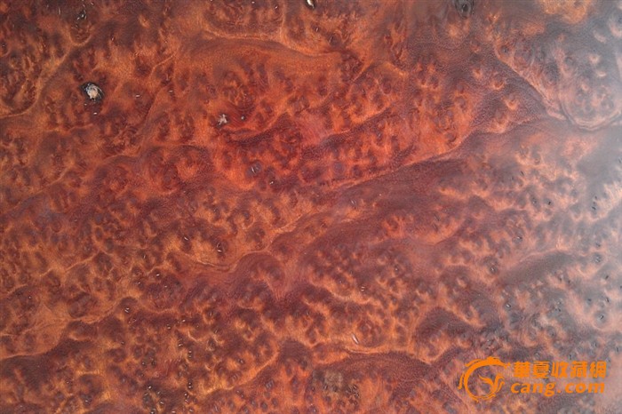 足球赌注软件APP