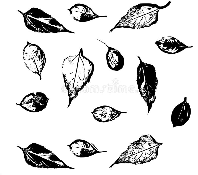 ‘十大足球赌注软件’鱼油胶丸与哪些食物搭配效果最好？