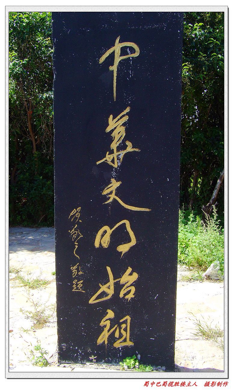 海豹油紫苏籽油软胶囊-盒装产品 降低高血压‘十大足球赌注软件