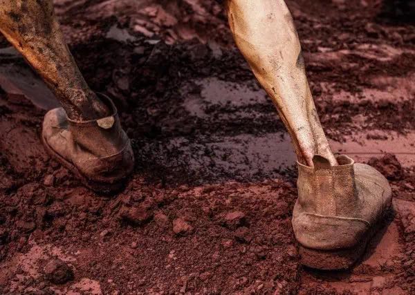 十大足球赌注软件